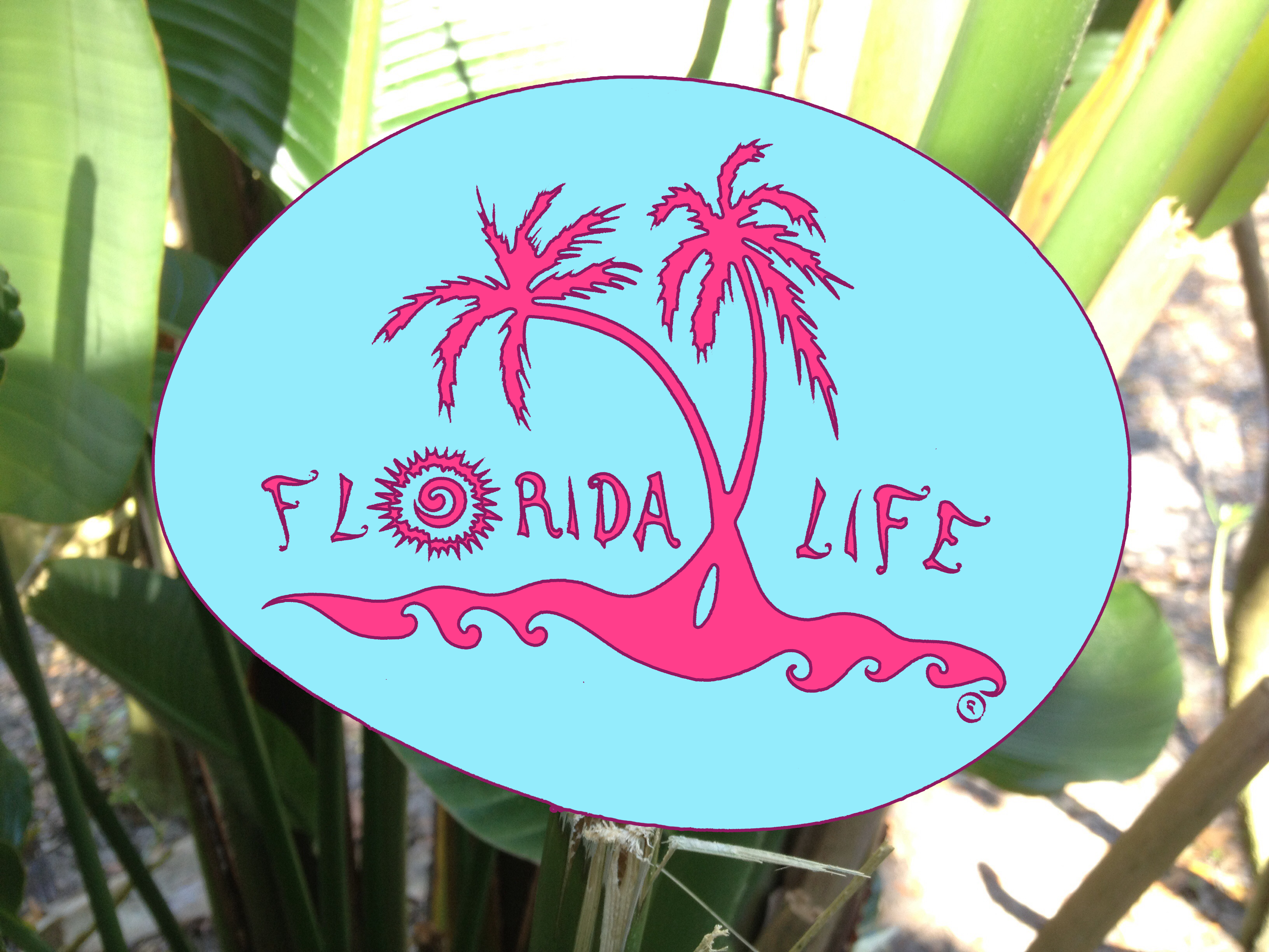 Florida Life Decal